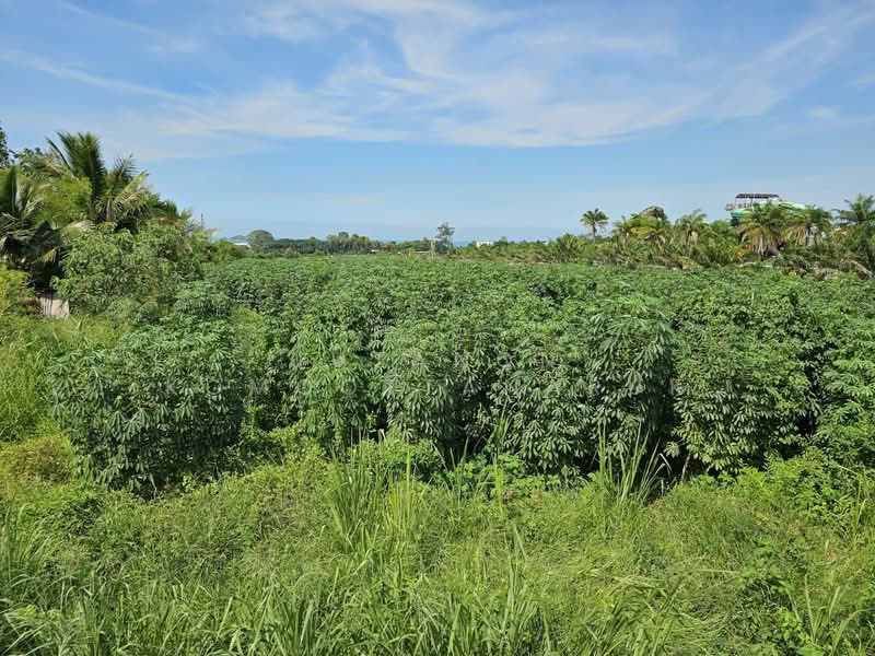 ขายที่ดินแปลงสวย 19 ไร่ 2 งาน ซอยนาจอมเทียน 50 และ 52 ทำเลดี เดินทางสะดวก ต.นาจอมเทียน อ.สัตหีบ, Chon Buri (Pattaya), Na Chom Thian, Sattahip, Chon Buri (Pattaya), , 31,200 sqm, Land For Sale, by Jutanon Komoottanaruk, 500189231 - DDproperty.com