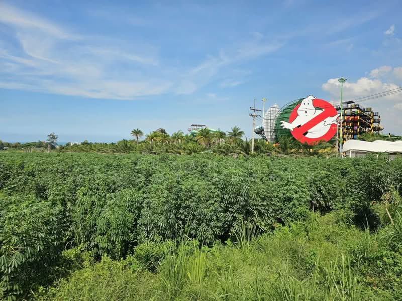 ขายที่ดินแปลงสวย 19 ไร่ 2 งาน ซอยนาจอมเทียน 50 และ 52 ทำเลดี เดินทางสะดวก ต.นาจอมเทียน อ.สัตหีบ, Chon Buri (Pattaya), Na Chom Thian, Sattahip, Chon Buri (Pattaya), , 31,200 sqm, Land For Sale, by Jutanon Komoottanaruk, 500189231 - DDproperty.com