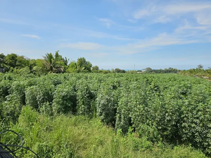 ขายที่ดินแปลงสวย 19 ไร่ 2 งาน ซอยนาจอมเทียน 50 และ 52 ทำเลดี เดินทางสะดวก ต.นาจอมเทียน อ.สัตหีบ, Chon Buri (Pattaya), Na Chom Thian, Sattahip, Chon Buri (Pattaya), , 31,200 sqm, Land For Sale, by Jutanon Komoottanaruk, 500189231 - DDproperty.com