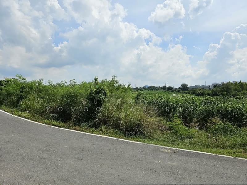 ขายที่ดินแปลงสวย 19 ไร่ 2 งาน ซอยนาจอมเทียน 50 และ 52 ทำเลดี เดินทางสะดวก ต.นาจอมเทียน อ.สัตหีบ, ชลบุรี, นาจอมเทียน, สัตหีบ, ชลบุรี, 31,200 ตร.ม., ที่ดิน ขาย, โดย Jutanon Komoottanaruk, 500189231 - DDproperty.com