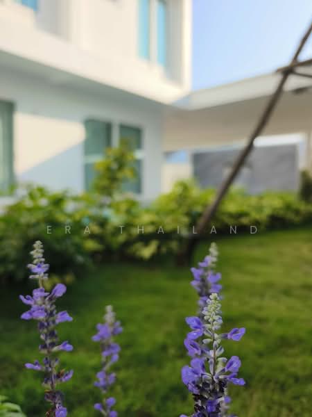 ขาย - Modern Minimalist, เชียงใหม่