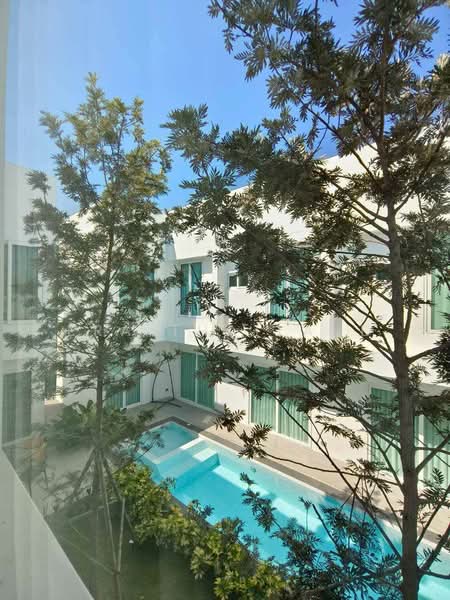 Modern Minimalist, Chiang Mai, Chang Phuak, Muang Chiang Mai, Chiang Mai, 7 Bedrooms, 576 sqm, Semi-Detached House (Twin House) For Sale, by ERA Thailand, 500189244 - DDproperty.com