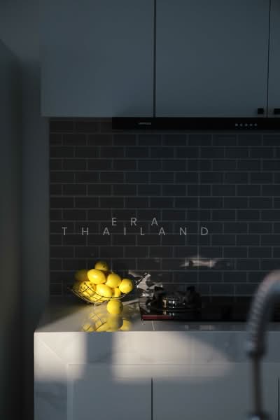 Modern Minimalist, Chiang Mai, Chang Phuak, Muang Chiang Mai, Chiang Mai, 7 Bedrooms, 576 sqm, Semi-Detached House (Twin House) For Sale, by ERA Thailand, 500189244 - DDproperty.com