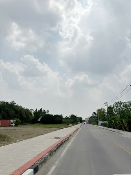 ที่ดินทวีวัฒนา กรุงเทพมหานคร, กรุงเทพ, ทวีวัฒนา, ทวีวัฒนา, กรุงเทพ, 2,416 ตร.ม., ที่ดิน ขาย, โดย The Best Property Agent อุ๊, 500189254 - DDproperty.com