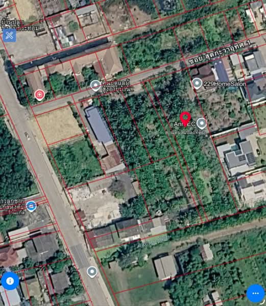 ที่ดินทวีวัฒนา กรุงเทพมหานคร, กรุงเทพ, ทวีวัฒนา, ทวีวัฒนา, กรุงเทพ, 2,416 ตร.ม., ที่ดิน ขาย, โดย The Best Property Agent อุ๊, 500189254 - DDproperty.com
