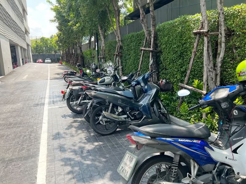 The Base Garden Rama 9, Bangkok, 18 Rama 9 Road, Hua Mak, Bang Kapi, Bangkok, 1 Bedroom, 32 sqm, Condo For Sale, by ณัฏฐ์อาณา บรรยงกะเสนา ณ อยุธยา, 500189318 - DDproperty.com