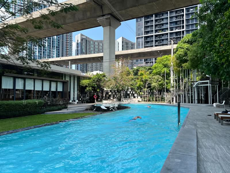 The Base Garden Rama 9, Bangkok, 18 Rama 9 Road, Hua Mak, Bang Kapi, Bangkok, 1 Bedroom, 32 sqm, Condo For Sale, by ณัฏฐ์อาณา บรรยงกะเสนา ณ อยุธยา, 500189318 - DDproperty.com