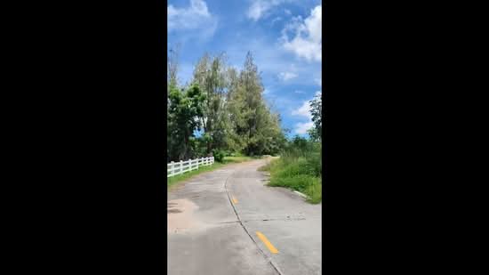 เขาชีจรรย์ - สวนนงนุช ตำบลนาจอมเทียน อำเภอสัตหีบ จังหวัดชลบุรี, ชลบุรี, นาจอมเทียน, สัตหีบ, ชลบุรี, 5,100 ตร.ม., ที่ดิน ขาย, โดย ณิชาภา (คุณดาว) เพียจันทร์, 500189329 - DDproperty.com