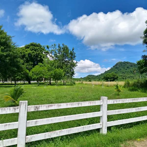 เขาชีจรรย์ - สวนนงนุช ตำบลนาจอมเทียน อำเภอสัตหีบ จังหวัดชลบุรี, Chon Buri (Pattaya), Na Chom Thian, Sattahip, Chon Buri (Pattaya), , 5,100 sqm, Land For Sale, by Nichapa Phiachan, 500189329 - DDproperty.com