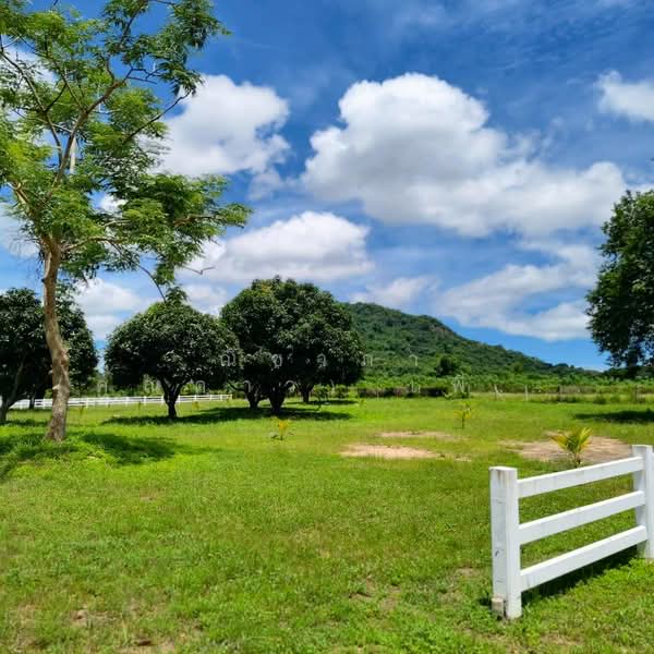 เขาชีจรรย์ - สวนนงนุช ตำบลนาจอมเทียน อำเภอสัตหีบ จังหวัดชลบุรี, Chon Buri (Pattaya), Na Chom Thian, Sattahip, Chon Buri (Pattaya), , 5,100 sqm, Land For Sale, by Nichapa Phiachan, 500189329 - DDproperty.com