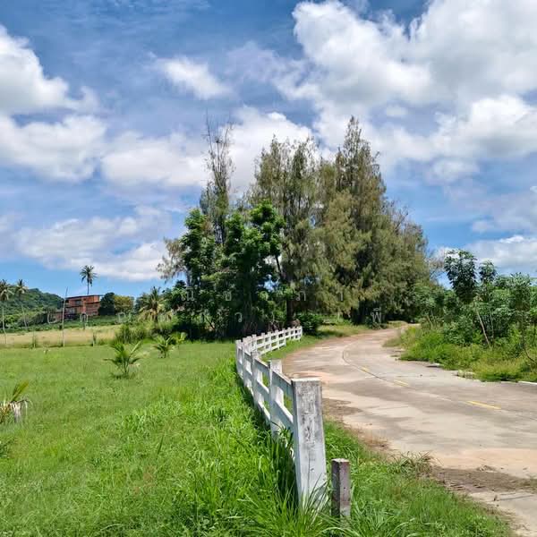 เขาชีจรรย์ - สวนนงนุช ตำบลนาจอมเทียน อำเภอสัตหีบ จังหวัดชลบุรี, Chon Buri (Pattaya), Na Chom Thian, Sattahip, Chon Buri (Pattaya), , 5,100 sqm, Land For Sale, by Nichapa Phiachan, 500189329 - DDproperty.com