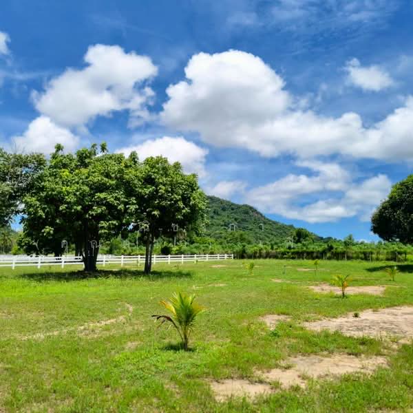 เขาชีจรรย์ - สวนนงนุช ตำบลนาจอมเทียน อำเภอสัตหีบ จังหวัดชลบุรี, Chon Buri (Pattaya), Na Chom Thian, Sattahip, Chon Buri (Pattaya), , 5,100 sqm, Land For Sale, by Nichapa Phiachan, 500189329 - DDproperty.com