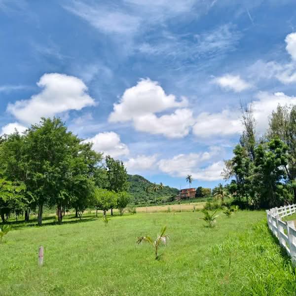 เขาชีจรรย์ - สวนนงนุช ตำบลนาจอมเทียน อำเภอสัตหีบ จังหวัดชลบุรี, Chon Buri (Pattaya), Na Chom Thian, Sattahip, Chon Buri (Pattaya), , 5,100 sqm, Land For Sale, by Nichapa Phiachan, 500189329 - DDproperty.com