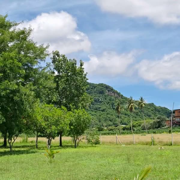 เขาชีจรรย์ - สวนนงนุช ตำบลนาจอมเทียน อำเภอสัตหีบ จังหวัดชลบุรี, Chon Buri (Pattaya), Na Chom Thian, Sattahip, Chon Buri (Pattaya), , 5,100 sqm, Land For Sale, by Nichapa Phiachan, 500189329 - DDproperty.com