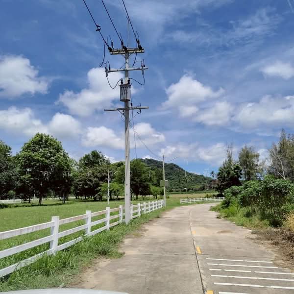 เขาชีจรรย์ - สวนนงนุช ตำบลนาจอมเทียน อำเภอสัตหีบ จังหวัดชลบุรี, Chon Buri (Pattaya), Na Chom Thian, Sattahip, Chon Buri (Pattaya), , 5,100 sqm, Land For Sale, by Nichapa Phiachan, 500189329 - DDproperty.com