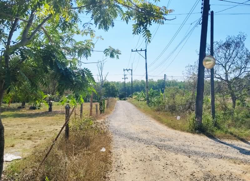ที่ดินตะพง ระยอง, Rayong, Taphong, Muang Rayong, Rayong, , 360 sqm, Land For Sale, by The Best Property ศิลป์, 500189356 - DDproperty.com