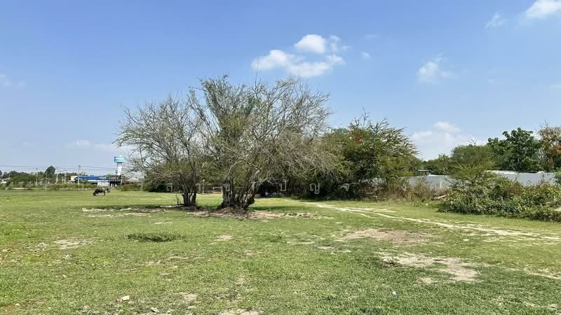 WPDD-094 ขายที่ดิน อำเภอเมืองโคราช 44 ไร่ 2 งาน 49.8 ตร.ว., นครราชสีมา, หัวทะเล, เมืองนครราชสีมา, นครราชสีมา, 71,400 ตร.ม., ที่ดิน ขาย, โดย วันวิสาข์ ปัญจรงคะ, 500189413 - DDproperty.com