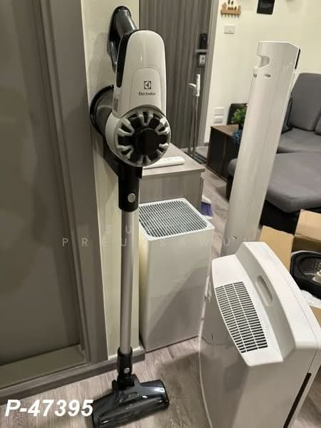 Knightsbridge Prime Onnut, Bangkok, Soi On Nut 1/1 Sukhumvit Road77, Phra Kanong Nua, Watthana, Bangkok, 1 Bedroom, 28 sqm, Condo For Rent, by Susira Preuksawun, 500189423 - DDproperty.com