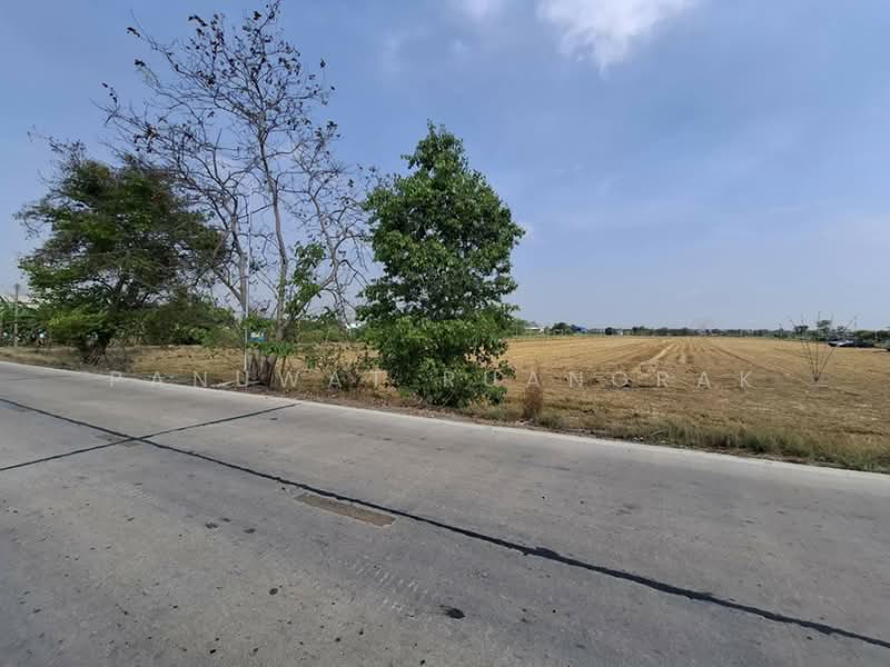 ซ.บ้านเจ้าคุณ ปท.ถ.1-0005, Pathum Thani, Bang Luang, Muang Pathum Thani, Pathum Thani, , 31,160 sqm, Land For Sale, by Panuwat Ruangrak, 500189478 - DDproperty.com
