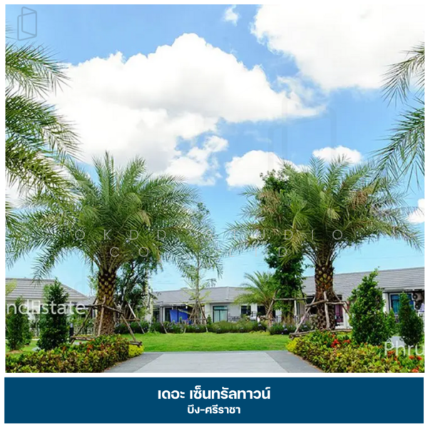 เดอะ เซ็นทรัล ทาวน์ บึง-ศรีราชา : The Central Town Bueng-Sriracha, ชลบุรี, หนองขาม, ศรีราชา, ชลบุรี, 82 ตร.ม., ทาวน์เฮ้าส์ ขาย, โดย OKDD STUDIO Co., Ltd., 500189479 - DDproperty.com