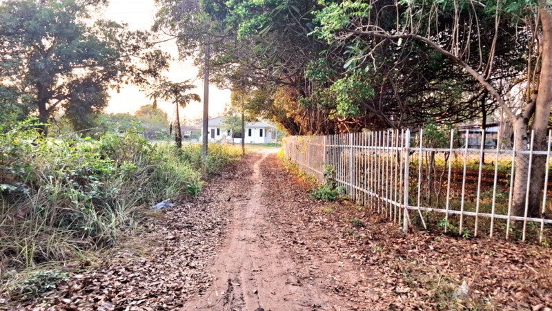 ที่ดินโนนรัง ร้อยเอ็ด, Roi Et, Non Rang, Muang Roi Et, Roi Et, , 11,376 sqm, Land For Sale, by The Best Property ทองใบ, 500189494 - DDproperty.com