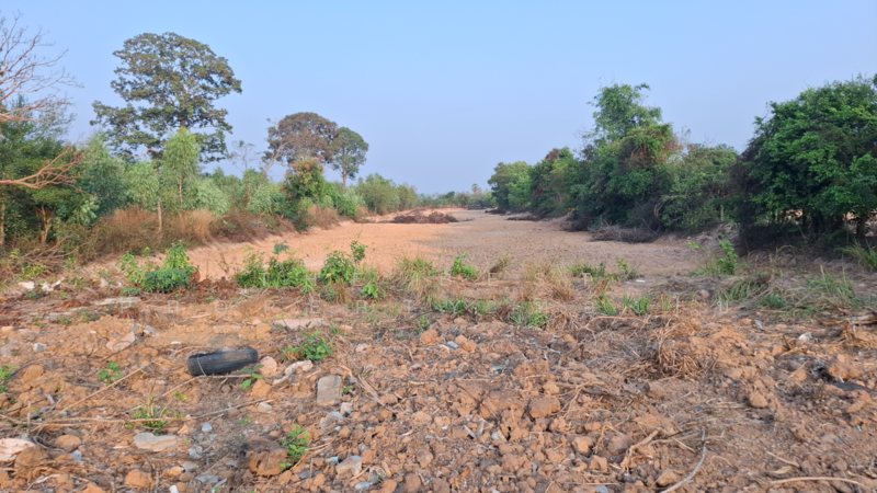 ที่ดินโนนรัง ร้อยเอ็ด, Roi Et, Non Rang, Muang Roi Et, Roi Et, , 11,376 sqm, Land For Sale, by The Best Property ทองใบ, 500189494 - DDproperty.com