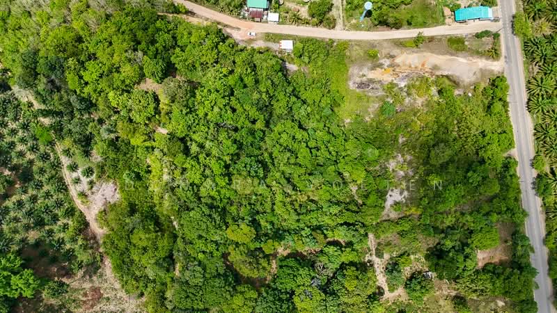 ให้เช่า - ที่ดินศักยภาพวิวทะเล กระบี่, Krabi, กระบี่