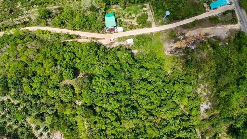 ให้เช่า - ที่ดินศักยภาพวิวทะเล กระบี่, Krabi, กระบี่