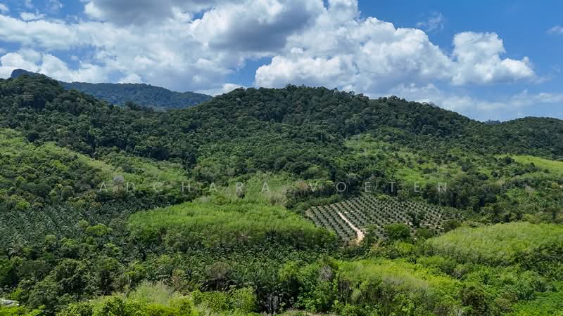 Krabi Premium Sea View Land, กระบี่, Krabi, Nong Tale, Muang Krabi, Krabi, , 4,800 sqm, Land For Rent, by Adchara Voeten, 500189495 - DDproperty.com