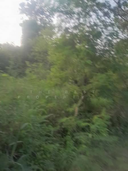 ขาย - ที่ดินบางสะพาน ประจวบคีรีขันธ์, ประจวบคีรีขันธ์