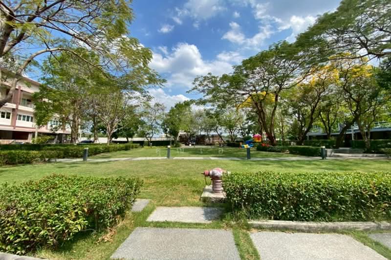 The Ricco Town Watcharapol, Bangkok, Ruammit Pattana, Khlong Tan Nuea, Tha Rang, Bang Khen, Bangkok, 3 Bedrooms, 170 sqm, Townhouse For Sale, by คุณเอ, 500189641 - DDproperty.com