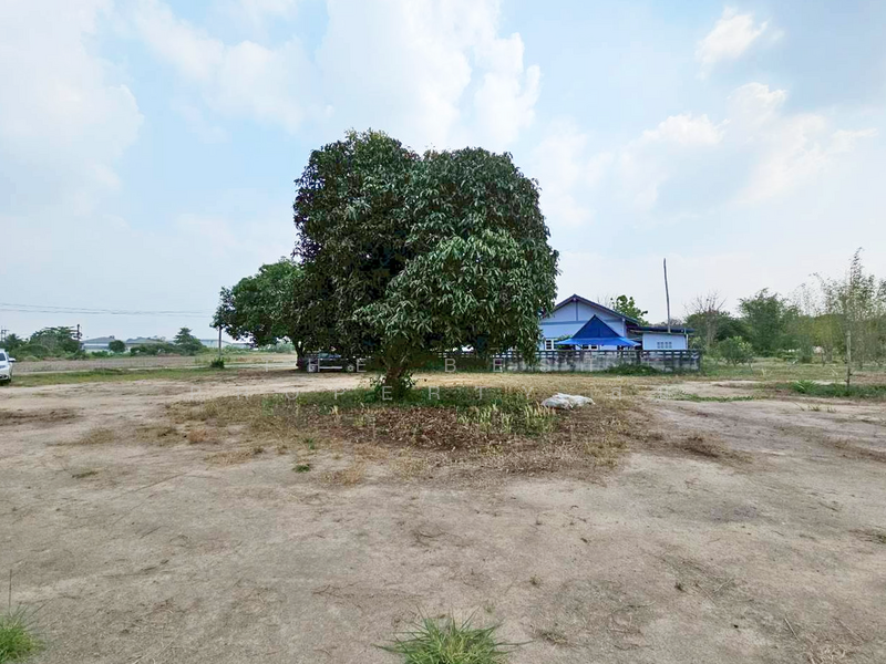 ที่ดินบ้านบึง ชลบุรี, Chon Buri (Pattaya), Ban Bung, Ban Bung, Chon Buri (Pattaya), , 3,200 sqm, Land For Sale, by The Best Property ส้ม, 500189645 - DDproperty.com