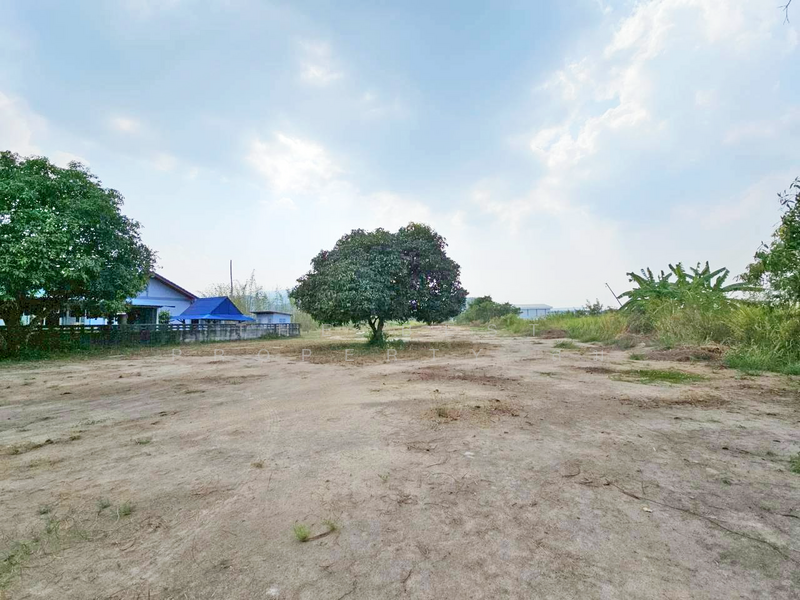 ที่ดินบ้านบึง ชลบุรี, Chon Buri (Pattaya), Ban Bung, Ban Bung, Chon Buri (Pattaya), , 3,200 sqm, Land For Sale, by The Best Property ส้ม, 500189645 - DDproperty.com