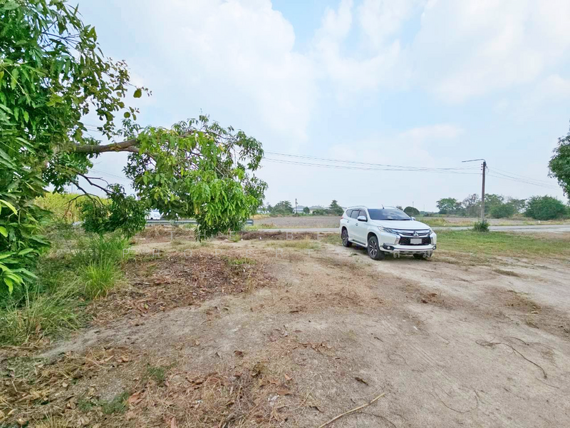 ที่ดินบ้านบึง ชลบุรี, Chon Buri (Pattaya), Ban Bung, Ban Bung, Chon Buri (Pattaya), , 3,200 sqm, Land For Sale, by The Best Property ส้ม, 500189645 - DDproperty.com