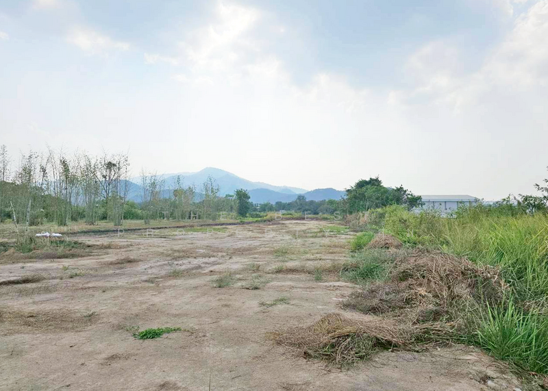 ที่ดินบ้านบึง ชลบุรี, ชลบุรี, บ้านบึง, บ้านบึง, ชลบุรี, 3,200 ตร.ม., ที่ดิน ขาย, โดย The Best Property ส้ม, 500189645 - DDproperty.com