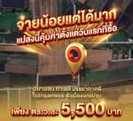 ขายที่ดินเปล่า 206 ตารางวา ตำบลบางระกำ อำเภอบางเลน นครปฐม ใกล้ตัวเมืองนครปฐม, นครปฐม