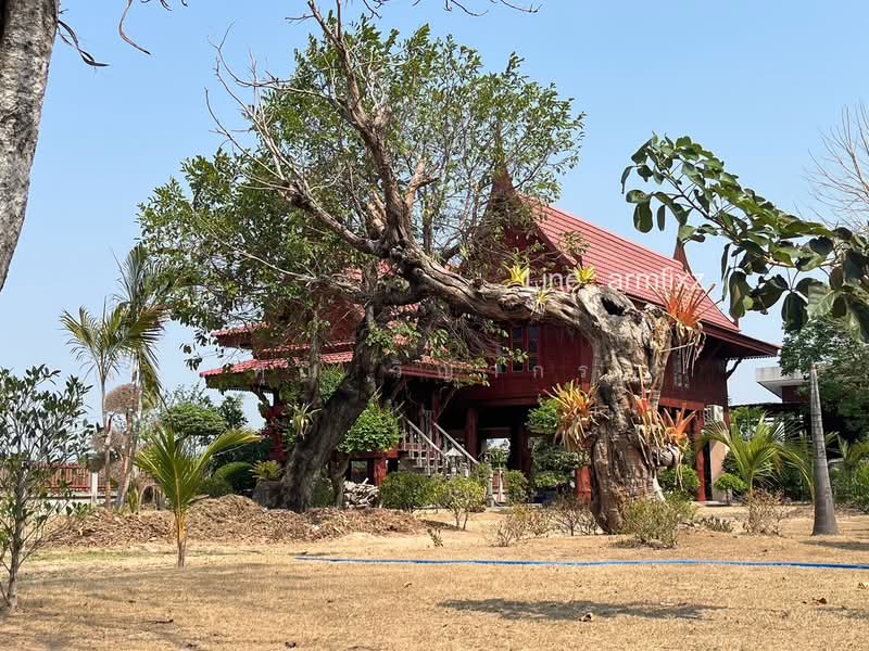 ขาย - ขายบ้านพร้อมที่ดิน ทำเลดี พยัคฆภูมิพิสัย จ.มหาสารคาม, มหาสารคาม