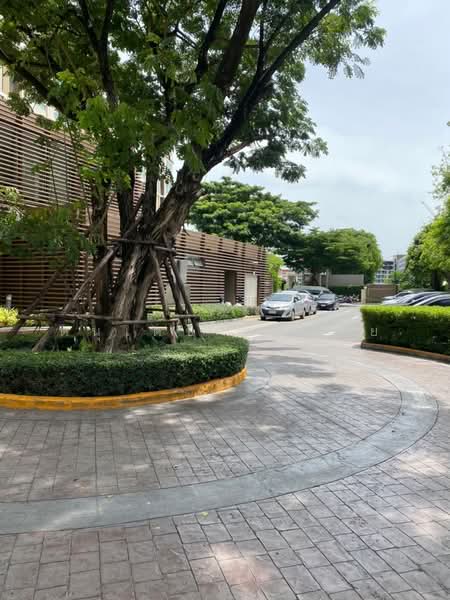 Dcondo Campus Resort Rangsit, Pathum Thani, 89 Soi Mu Ban Kritsana House Khlong Luang Road, Khlong Nung, Khlong Luang, Pathum Thani, Studio, 33 sqm, Condo For Sale, by ดนุเดช ชมเชย, 500189929 - DDproperty.com
