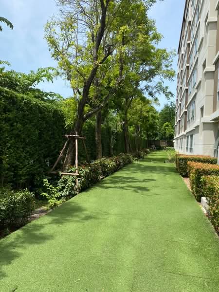 Dcondo Campus Resort Rangsit, Pathum Thani, 89 Soi Mu Ban Kritsana House Khlong Luang Road, Khlong Nung, Khlong Luang, Pathum Thani, Studio, 33 sqm, Condo For Sale, by ดนุเดช ชมเชย, 500189929 - DDproperty.com