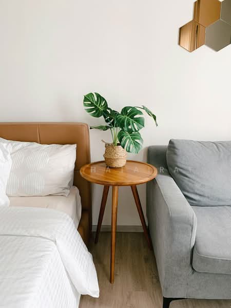 Rhythm Sukhumvit 36-38, Bangkok, 55 Soi Sukhumvit 36, Sukhumvit Road, Phra Kanong, Khlong Toei, Bangkok, Studio, 25 sqm, Condo For Rent, by Aom Hatairat, 500190013 - DDproperty.com