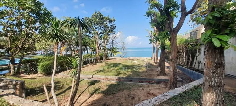 ติดหาดพัทยาเหนือ, ชลบุรี, พัทยาเหนือ, หนองปรือ, บางละมุง, ชลบุรี, 426 ตร.ม., วิลล่า ขาย, โดย Sujiphat Sreewongpan, 500190063 - DDproperty.com