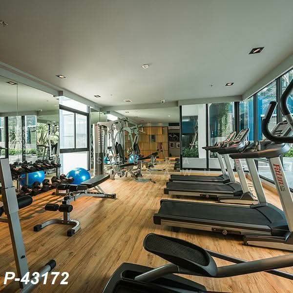 Niche Mono Ratchavipha, Bangkok, 292 Ratchadaphisek Road, Lat Yao, Chatuchak, Bangkok, 2 Bedrooms, 60 sqm, Condo For Rent, by Susira Prueksawun, 500190069 - DDproperty.com