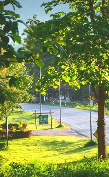 ฺBaan Kobsuk Chiang Mai, Chiang Mai, Long Khot, Phrao, Chiang Mai, 2 Bedrooms, 184 sqm, Single Detached House For Sale, by ณิทษา โฆวาสินธุ์, 500190094 - DDproperty.com