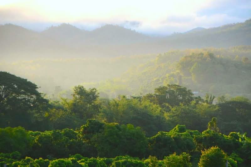 บ้านกอปรสุข เชียงใหม่, เชียงใหม่, โหล่งขอด, พร้าว, เชียงใหม่, 184 ตร.ม., บ้านเดี่ยว ขาย, โดย ณิทษา โฆวาสินธุ์, 500190094 - DDproperty.com