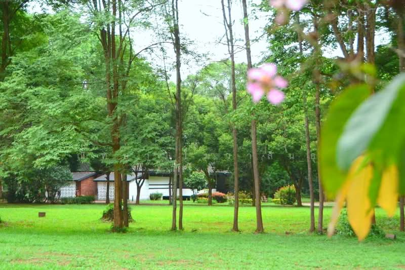 ฺBaan Kobsuk Chiang Mai, Chiang Mai, Long Khot, Phrao, Chiang Mai, 2 Bedrooms, 184 sqm, Single Detached House For Sale, by ณิทษา โฆวาสินธุ์, 500190094 - DDproperty.com