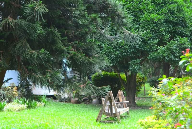 ฺBaan Kobsuk Chiang Mai, Chiang Mai, Long Khot, Phrao, Chiang Mai, 2 Bedrooms, 184 sqm, Single Detached House For Sale, by ณิทษา โฆวาสินธุ์, 500190094 - DDproperty.com