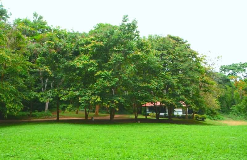 ฺBaan Kobsuk Chiang Mai, Chiang Mai, Long Khot, Phrao, Chiang Mai, 2 Bedrooms, 184 sqm, Single Detached House For Sale, by ณิทษา โฆวาสินธุ์, 500190094 - DDproperty.com