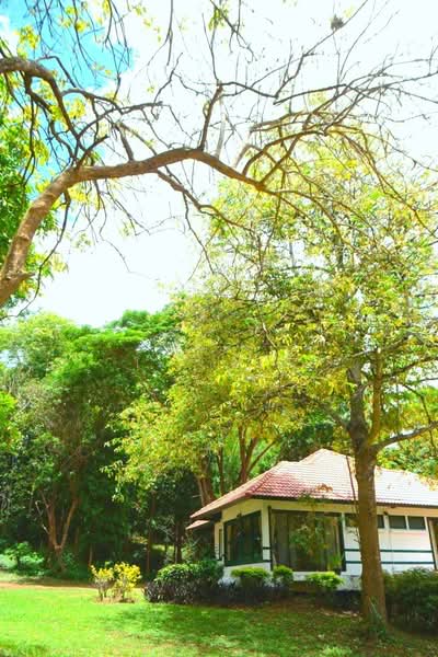 ฺBaan Kobsuk Chiang Mai, Chiang Mai, Long Khot, Phrao, Chiang Mai, 2 Bedrooms, 184 sqm, Single Detached House For Sale, by ณิทษา โฆวาสินธุ์, 500190094 - DDproperty.com