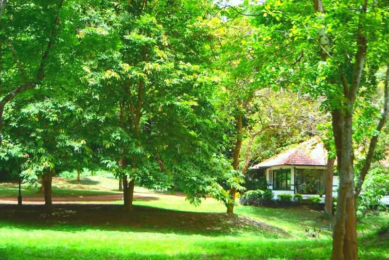 ฺBaan Kobsuk Chiang Mai, Chiang Mai, Long Khot, Phrao, Chiang Mai, 2 Bedrooms, 184 sqm, Single Detached House For Sale, by ณิทษา โฆวาสินธุ์, 500190094 - DDproperty.com