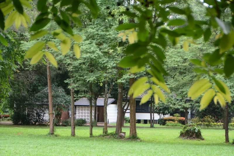 บ้านกอปรสุข เชียงใหม่, เชียงใหม่, โหล่งขอด, พร้าว, เชียงใหม่, 184 ตร.ม., บ้านเดี่ยว ขาย, โดย ณิทษา โฆวาสินธุ์, 500190094 - DDproperty.com